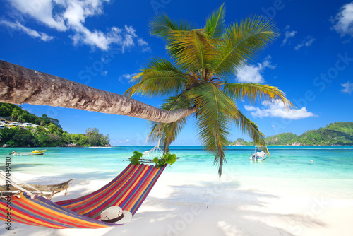 Fototapeta Naklejka Na Ścianę i Meble -  amazing palm beach with turquoise sea and colorful hammock