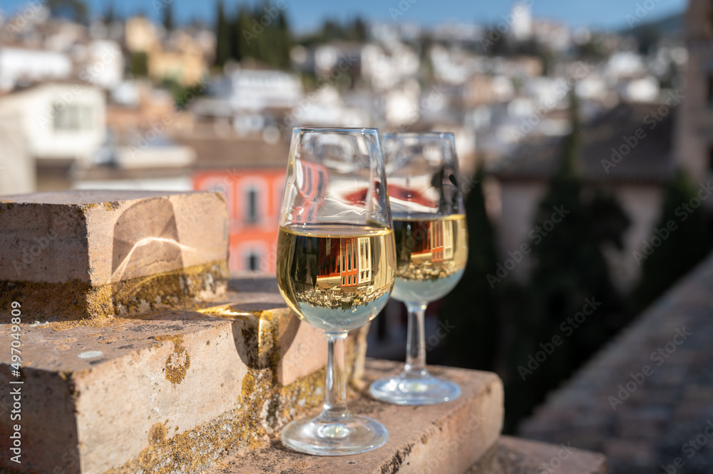 Tasting of sweet and dry fortified Vino de Jerez sherry wine with view on roofs and houses of old andalusian town Tasting of sweet and dry fortified Vino de Jerez sherry wine with view on roofs and houses of old andalusian town