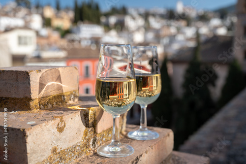 Tasting of sweet and dry fortified Vino de Jerez sherry wine with view on roofs and houses of old andalusian town