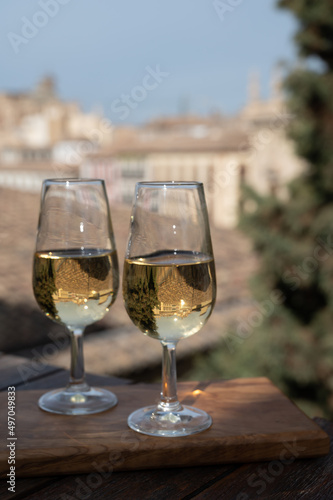 Tasting of Spanish sweet and dry fortified Vino de Jerez sherry wine with view on roofs and houses of old andalusian town
