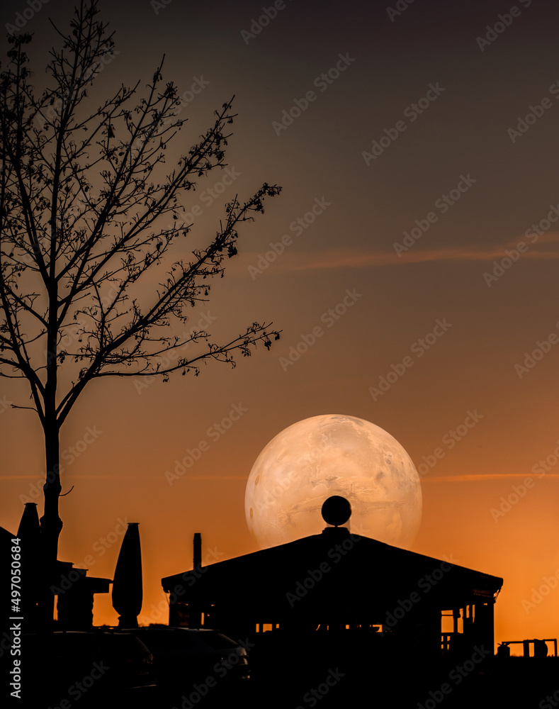 Obraz premium Vollmond hinter Schirmbar