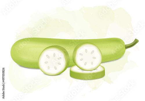 Bottle gourd vegetable with bottle gourd vegetable slices- vector illustration