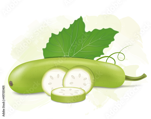 Bottle gourd vector illustration with green leaf and bottle gourd slices