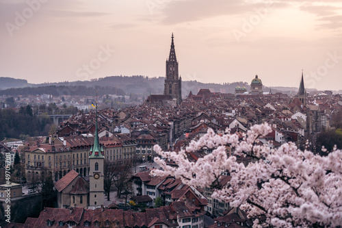 historic olttown of Bern during scenic cherry blossom in Rosengarten