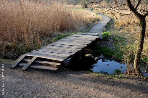 floating walkway made of wooden planks, pier, narrow curved paths on stilts driven to the bottom above the lake water. has no railings. more design sidewalk with low railings for wheelchairs photo