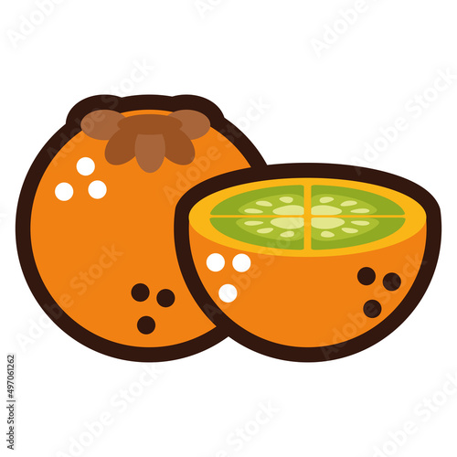 fresh kaki fruits doodle