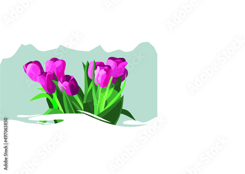 Fototapeta Naklejka Na Ścianę i Meble -  spring flowers illustration,flower,spring,pink,summer