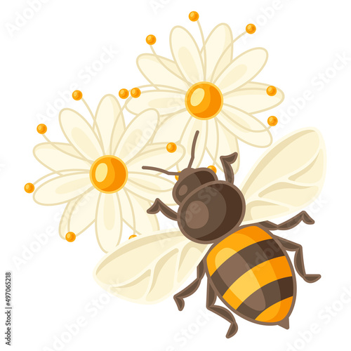 Illustration of bee on linden flowers. Image for food and agricultural industry.