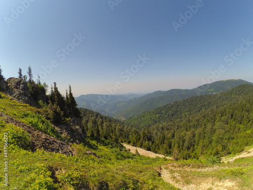 Landscape of forest and mountains. Concept of freedom