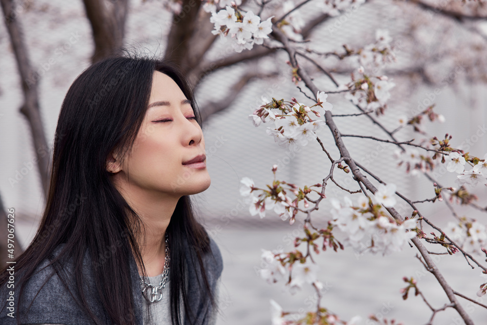 Beautiful Asian girl in cherry blossom garden on a spring day. Beautiful Asian girl in cherry blossom garden on a spring day.