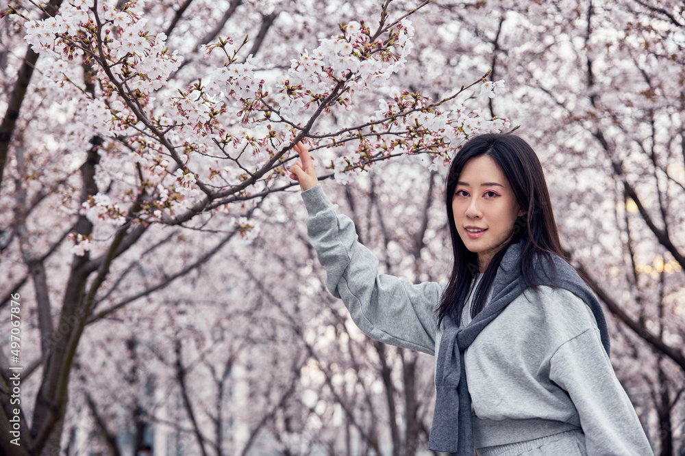 Beautiful Asian girl in cherry blossom garden on a spring day. Beautiful Asian girl in cherry blossom garden on a spring day.