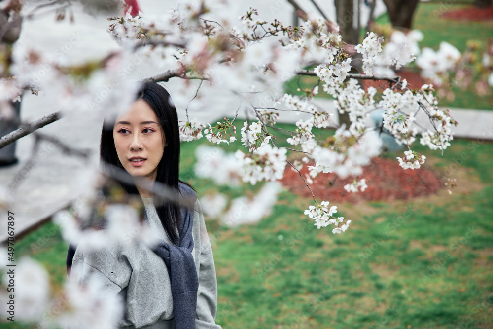 Beautiful Asian girl in cherry blossom garden on a spring day.