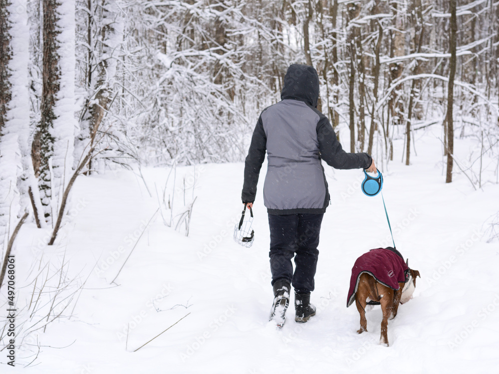 Woman and dog walking in the winter forest