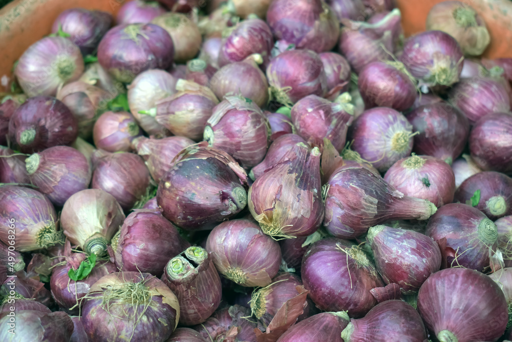 Red onion in market use for the background. Fresh onion at the market. Red onion in market use for the background. Fresh onion at the market.
