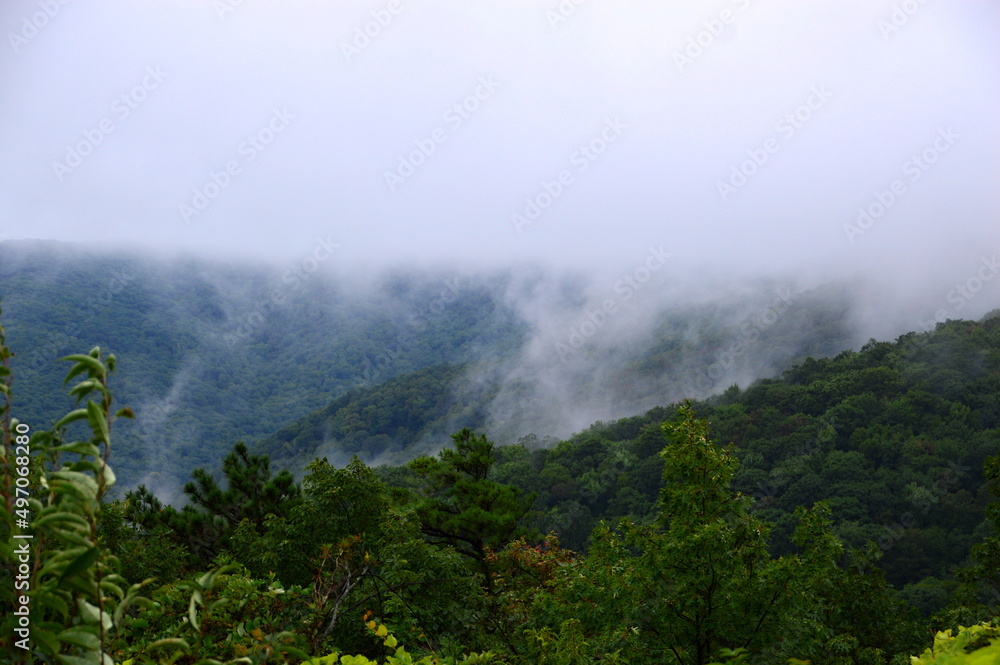 Landschaft in den Wolken im Great Smoky Mountains National Park