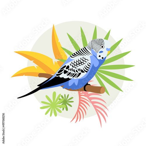 A tropical blue budgerigar sits on a branch with leaves of tropical plants. Vector illustration isolated on white background