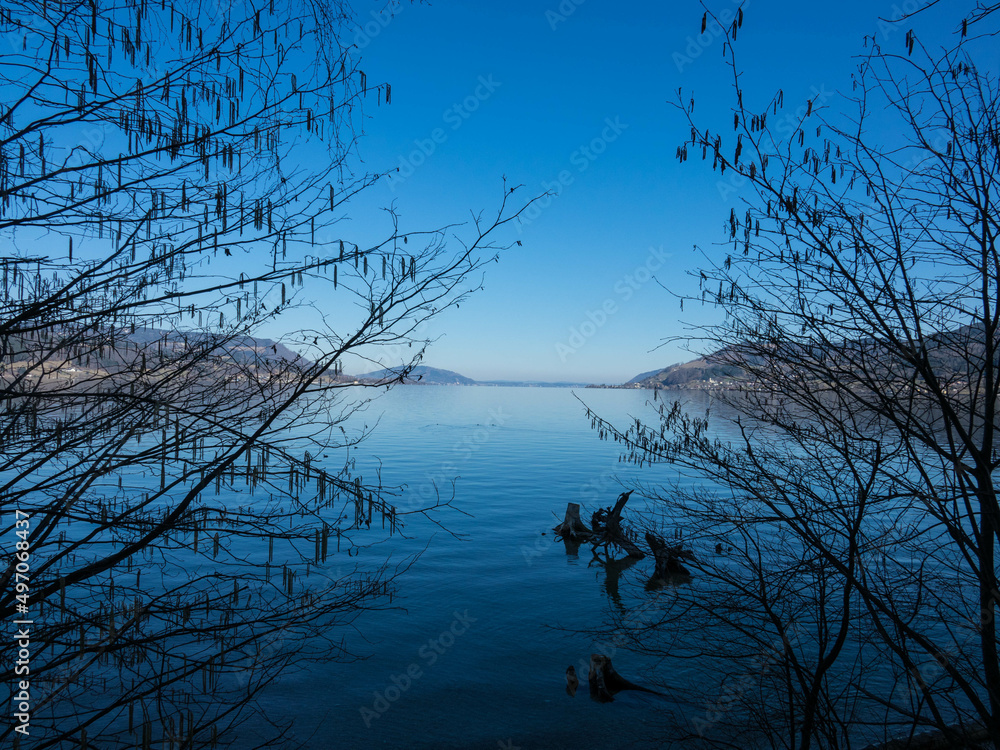 Fototapeta premium Attersee lake at Salzkammergut area in Austria. Tree branches, beautiful blue sky and the alps mountains. Upper Austria, Europe