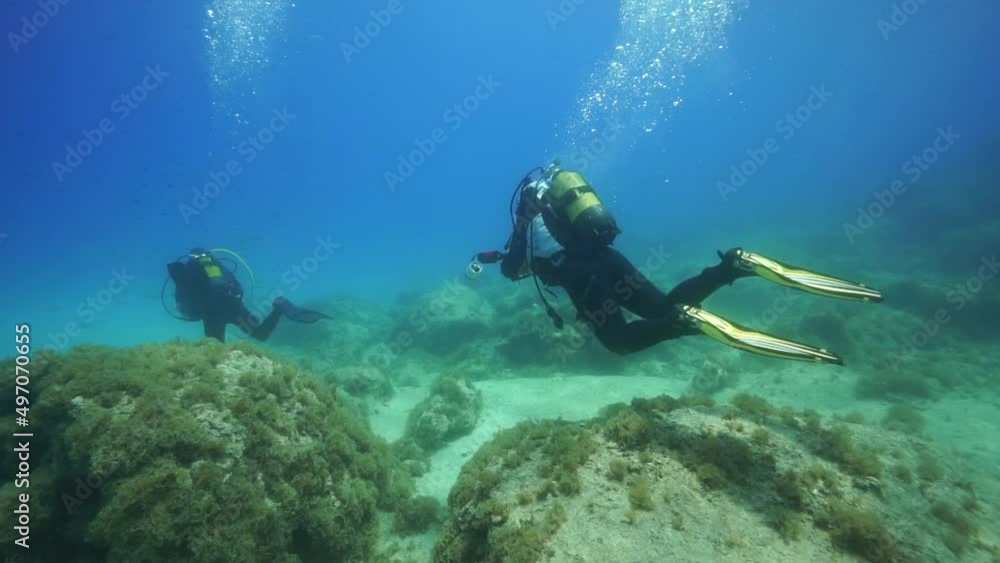 Image of divers capturing images of coral reefs and shoals of fish under the sea. Image of divers capturing images of coral reefs and shoals of fish under the sea.