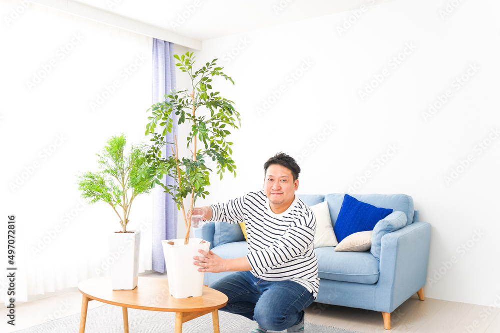 自宅で観葉植物を育てる中年の男性