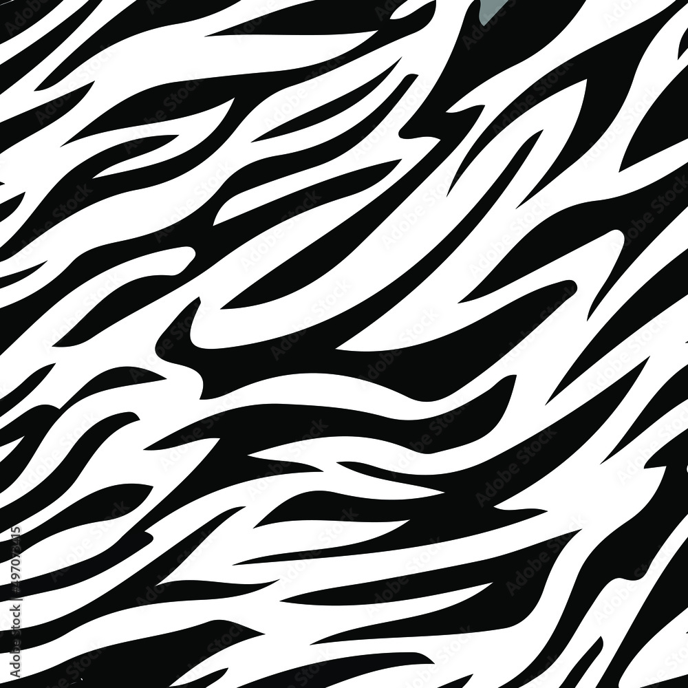 Obraz premium pattern texture zebra white color stripe repeated seamless black for background