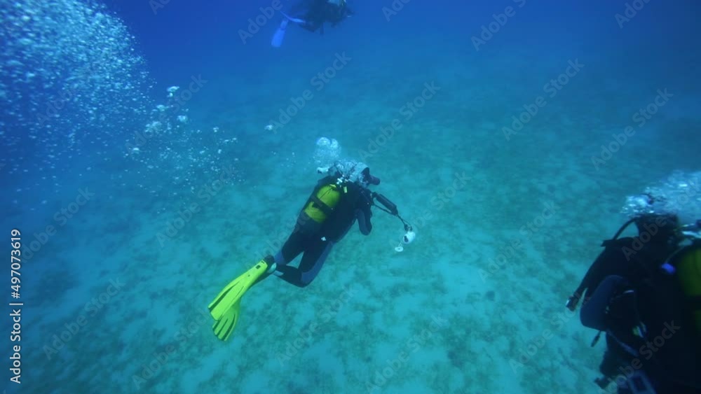 Image of divers excursion in live exploration under the sea.