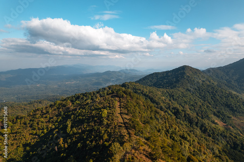 high angle view of forest and mountains in summer