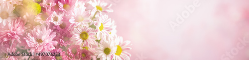 Abstract backgrounds with daisy flowers