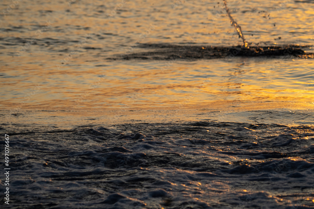 Fototapeta premium Wonderful orange sunset with birds on the beach in front of the sea. Arraial do Cabo, Rio de Janeiro, Brazil