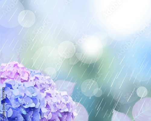 梅雨の時期に雨の降る中で咲く美しい薄紫色とピンク色のあじさいと葉っぱの幻想的なボケの背景イラスト素材 photo