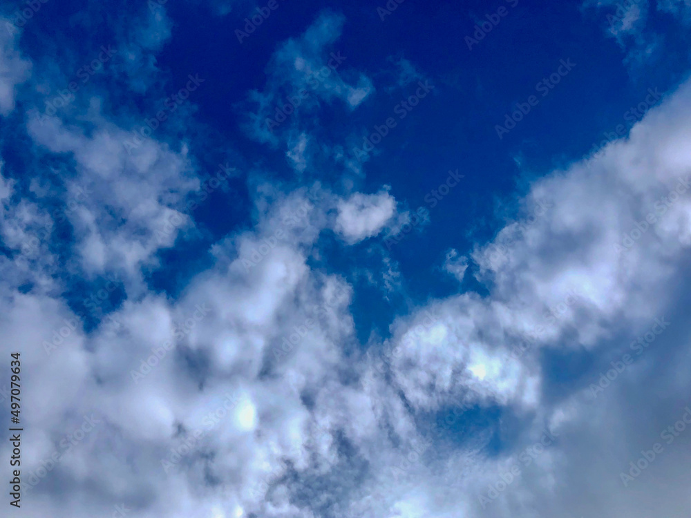 Fototapeta premium 空