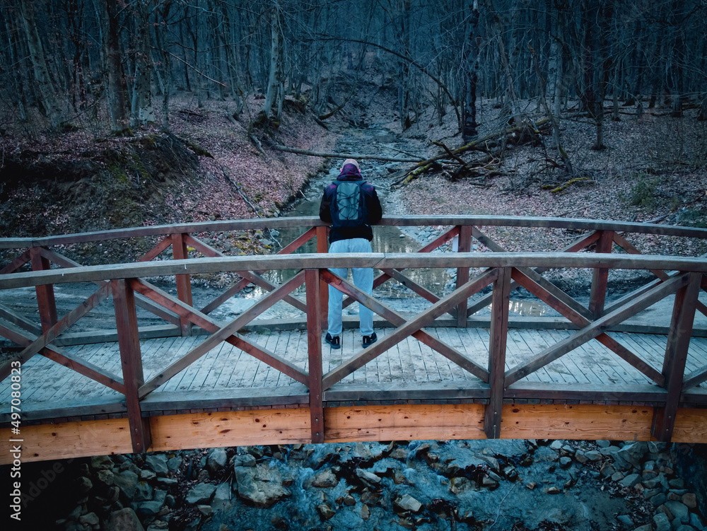 Mężczyzna stojący na mostku w lesie - obrazy, fototapety, plakaty 
