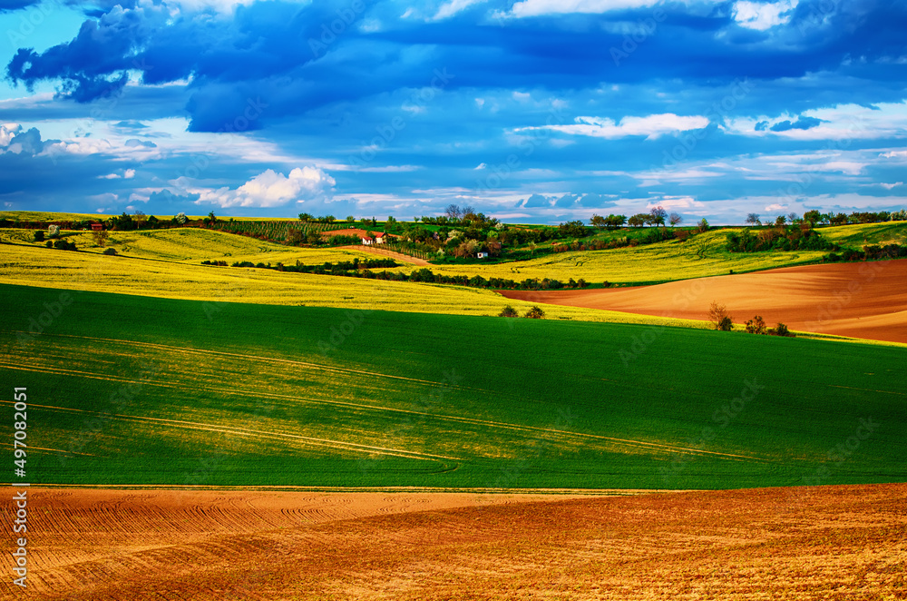 Obraz premium Rural spring landscape