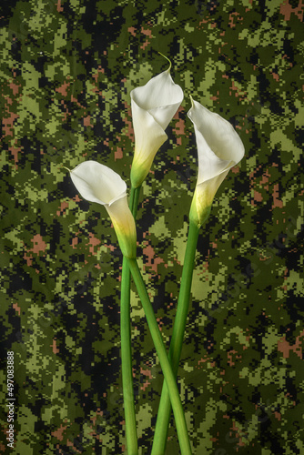 White callas lillies flower representing peace on a military camouflage pattern background.