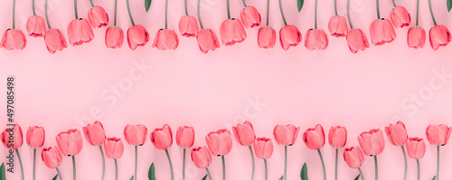Fotografie, Obraz Flowers pink composition