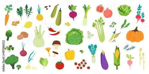Vegetables illustration set. Cabbage, broccoli, lettuce and other fresh organic vegetables. Balanced vegetarian and vegan diet concept. Vector illustration