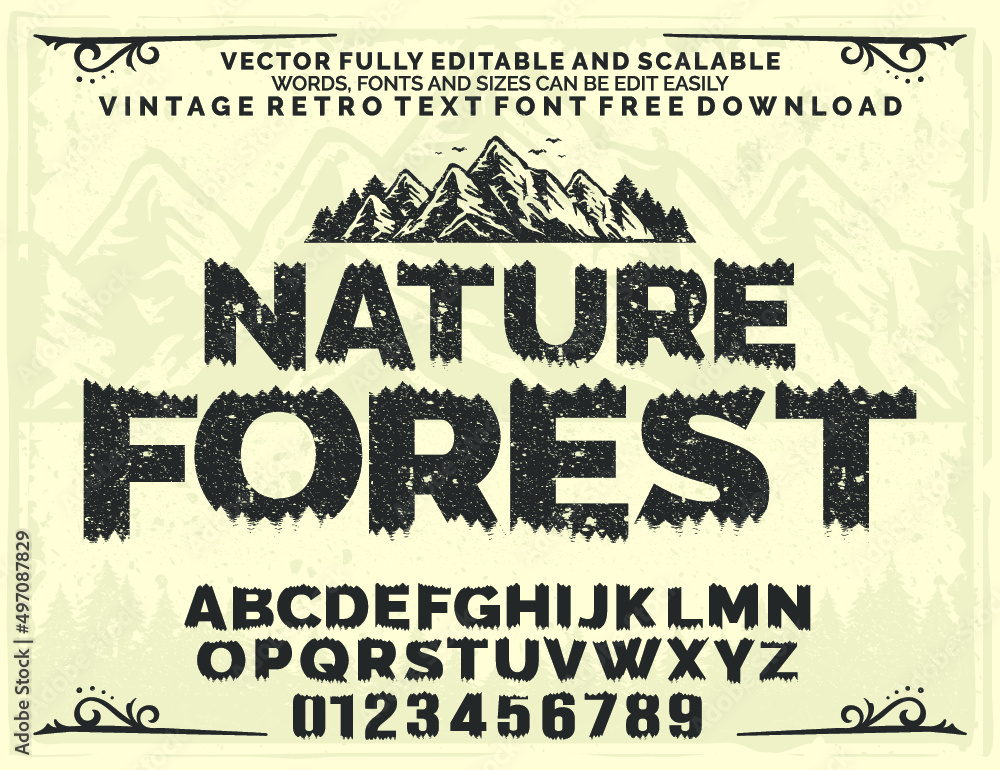 NATURE FOREST VINTAGE RETRO SERIF SCRIPT FONT TYPOGRAPHY LETTERING OUTDOOR ADVENTURE ALPHABET