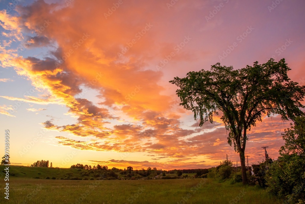landscape in summer at sunrise landscape in summer at sunrise