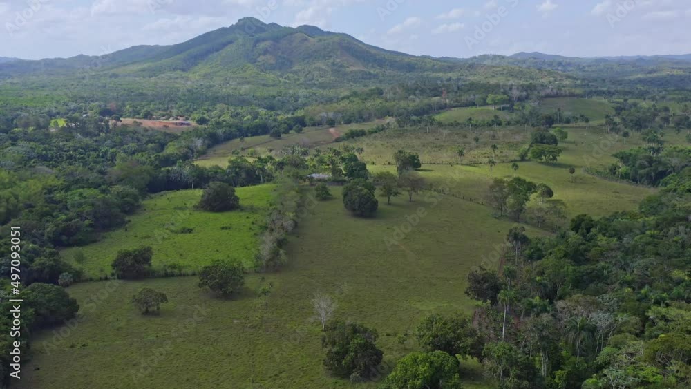 Aerial backwards shot of exotic nature landscape of Bayaguana during sunlight - Growing plants ,bush and trees - Green Mountains in backdrop Aerial backwards shot of exotic nature landscape of Bayaguana during sunlight - Growing plants ,bush and trees - Green Mountains in backdrop