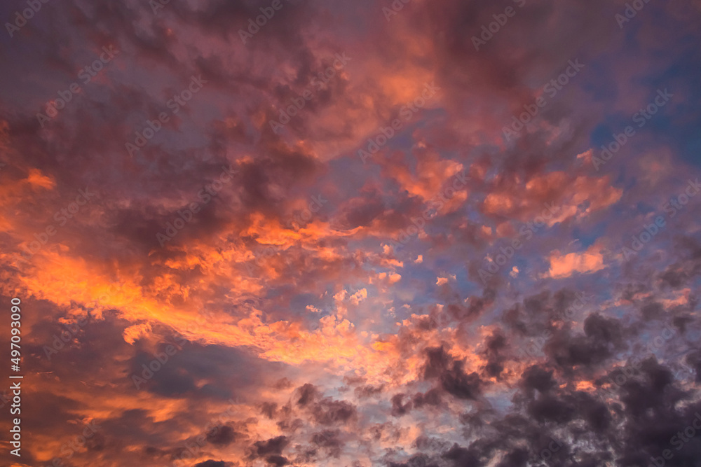 Pink and orange clouds at sunset. Beautiful sky at twilight. Fluffy clouds in the sun.