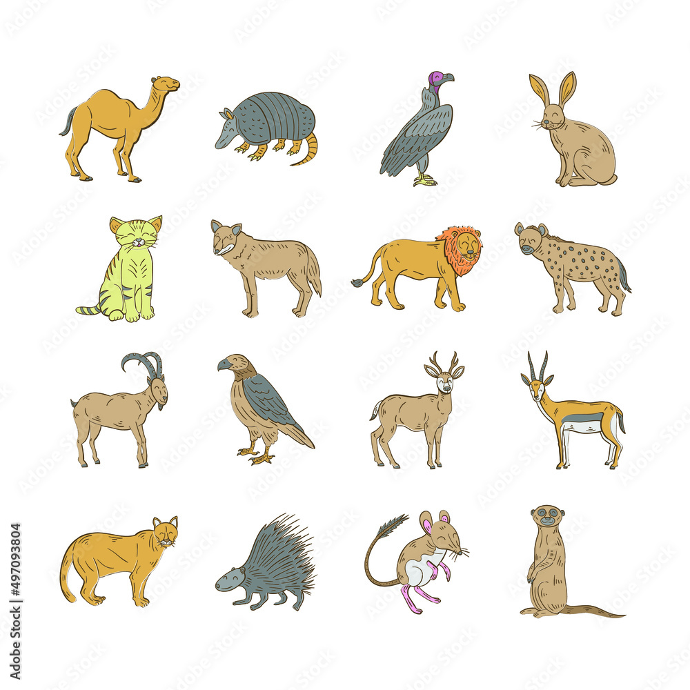 Large set of adorable wildlife in Africa. Bundles of cute funny exotic cartoons African mammal isolated animals on a white background. Large set of adorable wildlife in Africa. Bundles of cute funny exotic cartoons African mammal isolated animals on a white background.