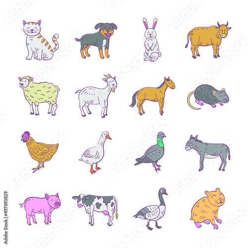 Fototapeta Naklejka Na Ścianę i Meble -  Set with different farm animals in a linear doodle style. Vector image with isolated pets on a white background.