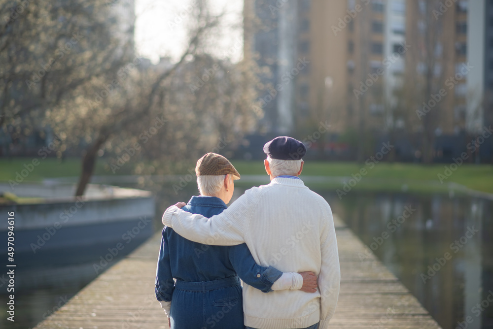 Back view of senior couple spending time in park. Grey-haired woman and man in casual clothes standing close, hugging admiring nature and city views. Aged couples active rest, relations concept Back view of senior couple spending time in park. Grey-haired woman and man in casual clothes standing close, hugging admiring nature and city views. Aged couples active rest, relations concept