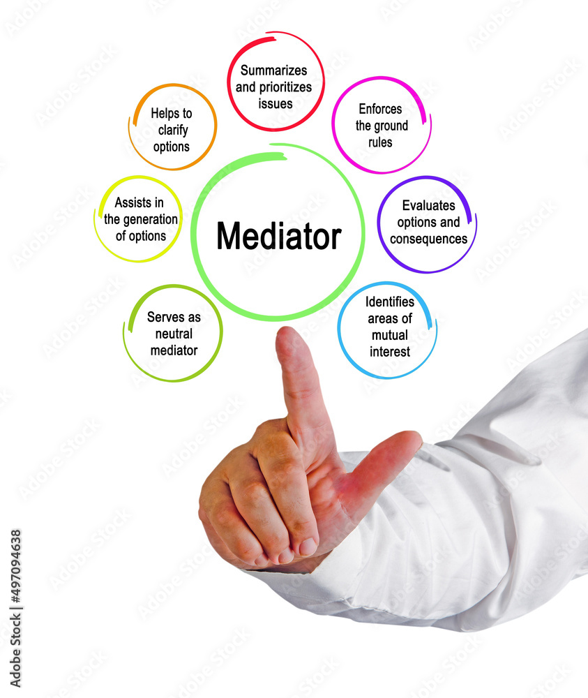 Presenting Seven functions of mediator Presenting Seven functions of mediator