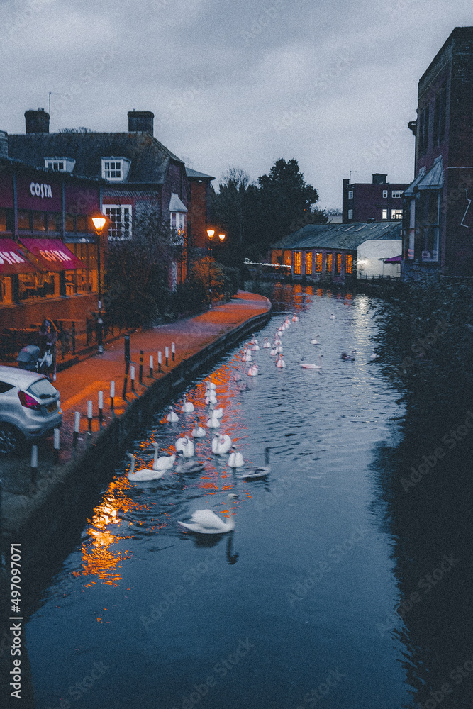 Fototapeta premium city canal at night