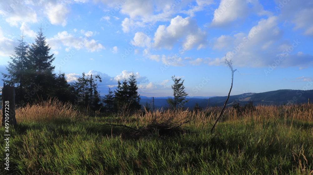 Obraz premium The Carphatians, a mountainous world where the forrests touch the sky
