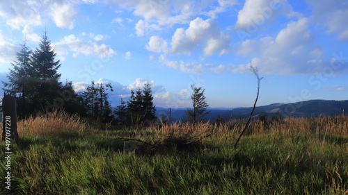 The Carphatians, a mountainous world where the forrests touch the sky