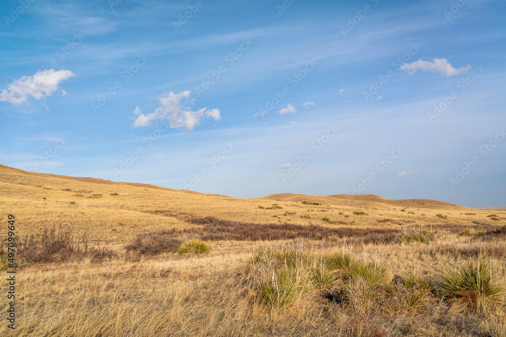 cumulus and cirrus clouds over grassland in northern Colorado, early spring scenery of Soapstone Prairie Natural Area cumulus and cirrus clouds over grassland in northern Colorado, early spring scenery of Soapstone Prairie Natural Area