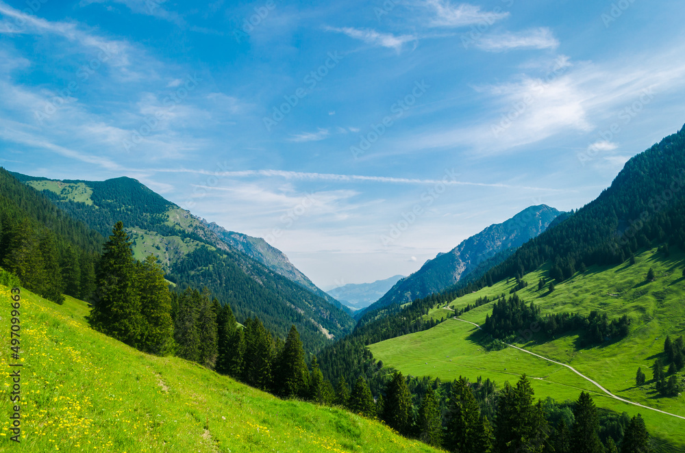 Fototapeta premium landscape in the mountains