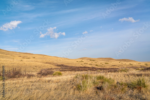 cumulus and cirrus clouds over grassland in northern Colorado, early spring scenery of Soapstone Prairie Natural Area