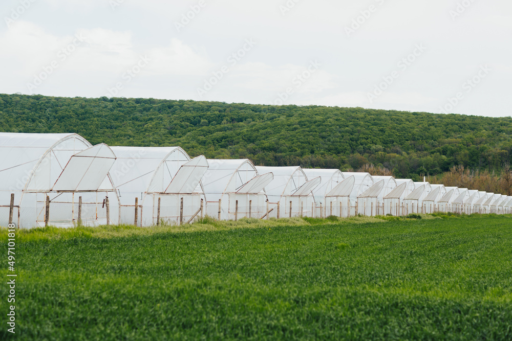 Organic farm in countryside with greenhouses ready for plant and cultivate the vegetables.